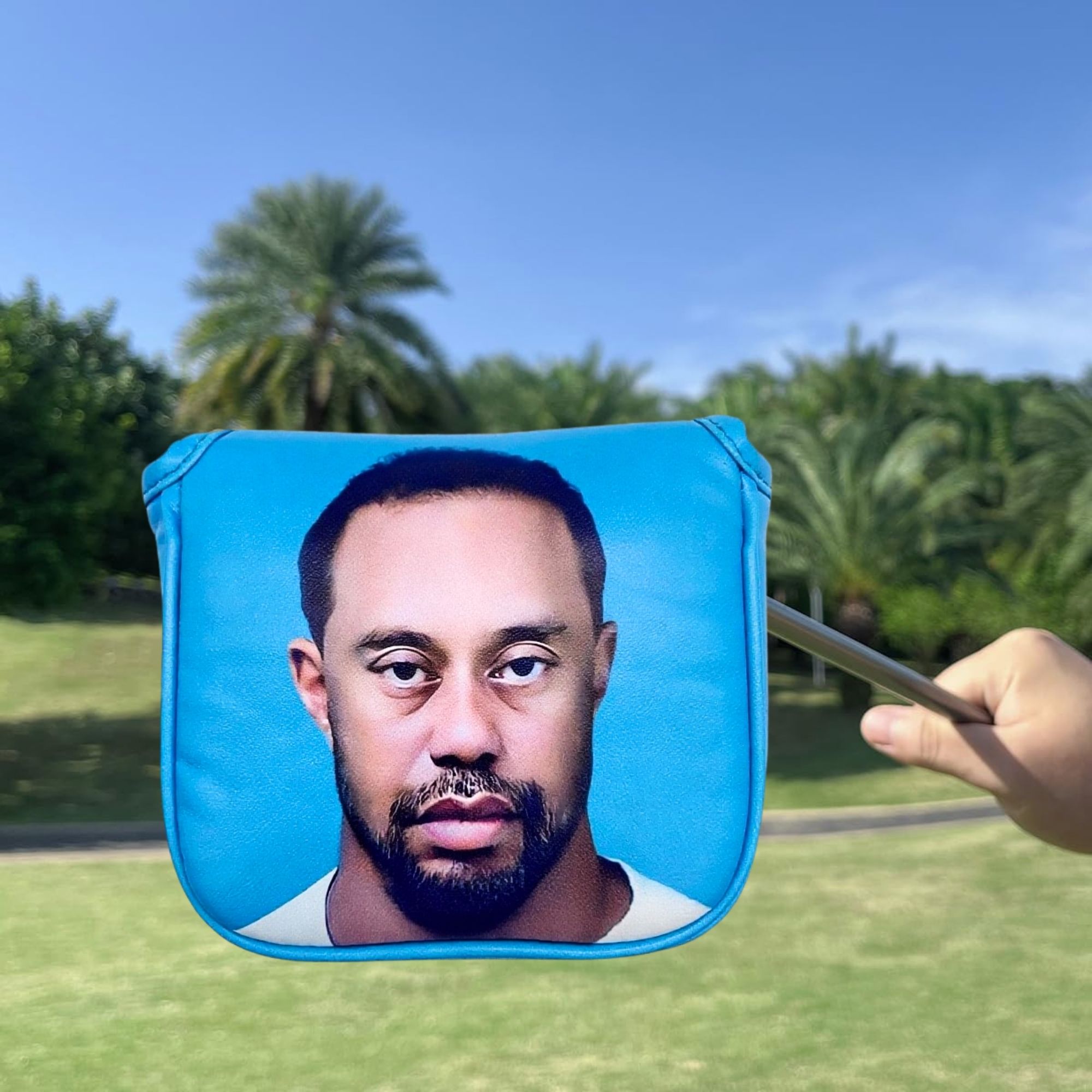 Funny Golf Mallet Putter Head  - Golf Equipment And Accessories recension och pris